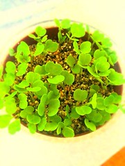 E0A2334C-90FC-4A47-A009-E84A864E6BD4