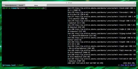 Featured image of post さくらインターネットVPSのUbuntuを12.4にアップグレードする