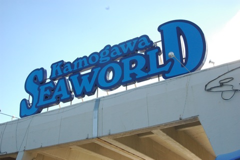 鴨川シーワールドに行ってきました